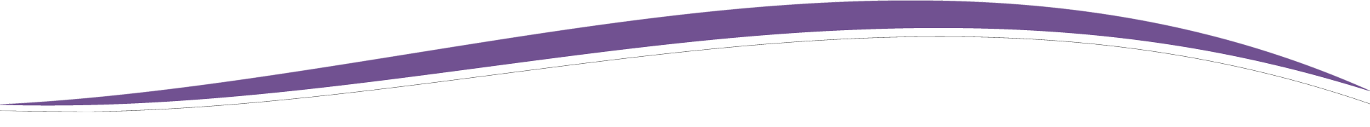 Header Curve Purple